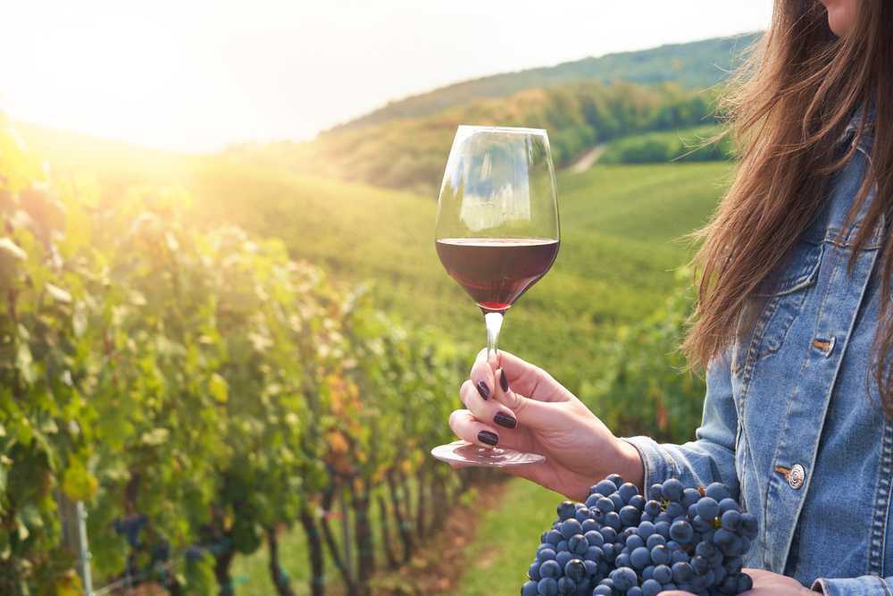 El vino, uno elemento característico de la sociedad española