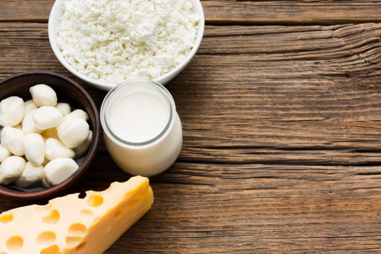 El consumo regular de probióticos puede mejorar la digestión y fortalecer el sistema inmunológico